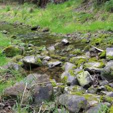 Lake Elizabeth Campground | Great Otway National Park, Forrest VIC 3236, Australia