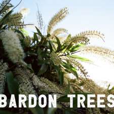 Bardon Trees | 20 David Ave, Bardon QLD 4065, Australia