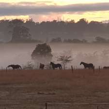 DRJ Stock Horses | 340 McKee Rd, Theresa Park NSW 2570, Australia