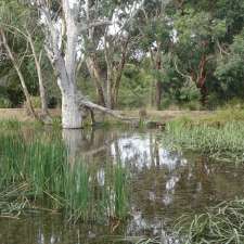 The Wetlands | Lake Wendouree VIC 3350, Australia