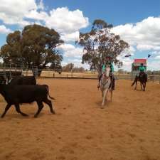 Lyndhurst Team Penning | 539 Garland Rd, Garland NSW 2797, Australia