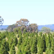 Victoria Christmas Tree Farm | Corner of Lightfoot Lane and, Sobeys Rd, Napoleons VIC 3352, Australia