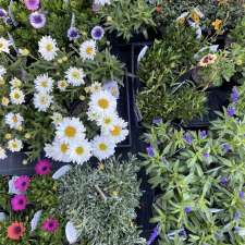 The Crookwell Nursery | 75 Goulburn St, Crookwell NSW 2583, Australia