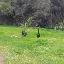 Big Swamp Bird Watching Platform | Big Swamp Reserve, South Bunbury WA 6230, Australia