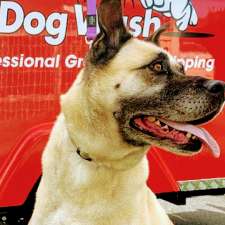 Jim's Dog Wash East Wagga Wagga | 22 Beach St, Forest Hill NSW 2651, Australia