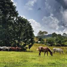 Kenilworth Homestead | 2760 Eumundi - Kenilworth Rd, Kenilworth QLD 4574, Australia