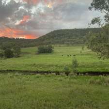 Lazy cow farm | 591 N Branch Rd, Goomburra QLD 4362, Australia