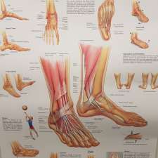 SportsMed Podiatry Bilinga | SCU Health Clinic, Southern Cross Drive, Bilinga QLD 4225, Australia