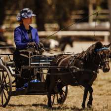 Independent Miniature Horse Registry Inc. | 62 Camp St, Grenfell NSW 2810, Australia
