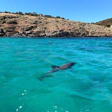 Ocean Safari | Penneshaw SA 5222, Australia