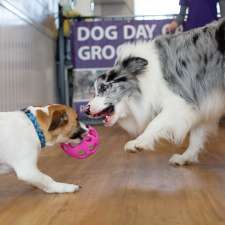 Pups4Fun Canberra - GROOMING DAYCARE TRAINING | 5/8-18 Fisher Square, Fisher ACT 2611, Australia