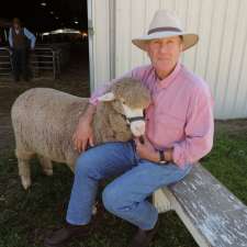 Brundanella Merino Stud | 100 Barkers Ln, Grenfell NSW 2810, Australia