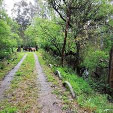 The Island | 0 Riverview Rd, Wurruk VIC 3850, Australia