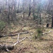 Lithgow parkrun | 3 Hassans Walls Rd, Sheedys Gully NSW 2790, Australia