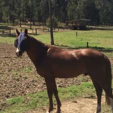 Boambee Equestrian Centre | 498A Pacific Hwy, Boambee NSW 2450, Australia