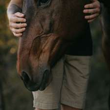 Finding Clarity Equine Assisted Therapy | Establishment | Old Bagotville Rd, Bagotville NSW 2477, Australia
