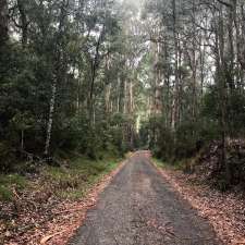 Reids Camping Ground | Eildon VIC 3713, Australia