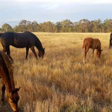 Hilldene Farm | 65 Ford Rd, Hilldene VIC 3660, Australia