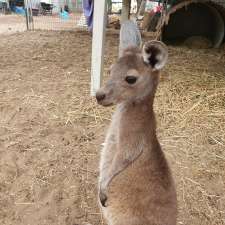 Express Wildlife Rescue | 24 Starflower Rd, Henley Brook WA 6055, Australia