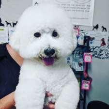 Sheridans Dog Grooming | 7 Boomerang Pl, Seven Hills NSW 2147, Australia