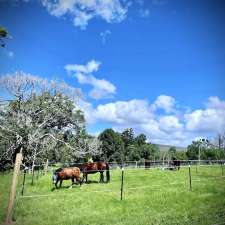 Unity Equestrian Centre | 24 Mottee Court, Advancetown QLD 4211, Australia