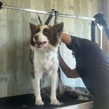 Custom Cutz Dog Grooming Blacksmiths | Establishment | 10 Tirriki St, Blacksmiths NSW 2281, Australia
