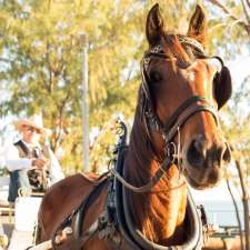 Darwin Horse and Carriage | Alec Fong Lim Dr, Fannie Bay NT 0820, Australia