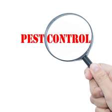 Pest Inspection Perth | Termite Inspection Perth | 208A Kooyong Rd, Rivervale WA 6103, Australia
