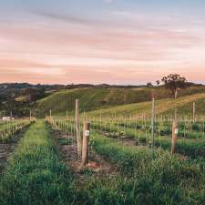 Vinteloper Vineyard | 589 Cudlee Creek Rd, Lobethal SA 5241, Australia
