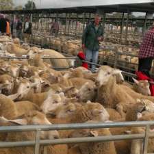 Bendigo Livestock Exchange (Saleyards) | Lot 2 Wallenjoe Rd, Huntly VIC 3551, Australia