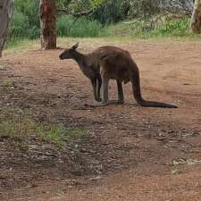 Darling Range Wildlife Shelter | Hayward Rd, Martin WA 6110, Australia