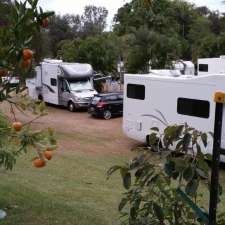Bush Oasis Caravan Park | 1 Muntalunga Dr, Nome QLD 4816, Australia