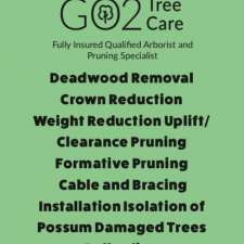 GO2 Tree Care | 3653c Princes Hwy, East Lynne NSW 2536, Australia