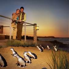 Posh Penguins | 895 Phillip Island Tourist Rd Service Rd, Newhaven VIC 3925, Australia