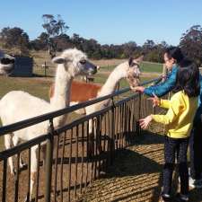 Horse Riding Sydney | 745 Barkers Lodge Rd, Picton NSW 2571, Australia