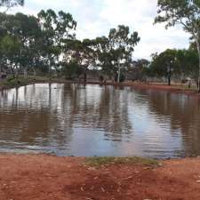 Arboretum - Dog Exercise Area | 15 Littlewood Pl, West Lamington WA 6430, Australia