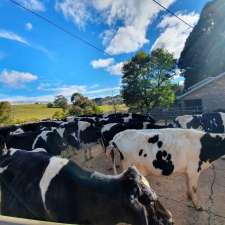 Fairway Farm | Fairway, 201 Blencowes Ln, Wildes Meadow NSW 2577, Australia