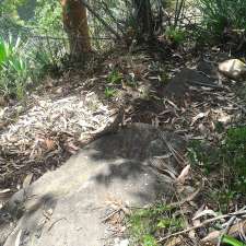 Allambie Flat Picnic Area | Unnamed Road, Royal National Park NSW 2233, Australia