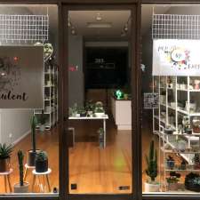 so succulent | 385 Hampton St, Hampton VIC 3188, Australia