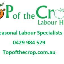 Top of the Crop Labour Hire | 22 Harris St, Beaconsfield QLD 4740, Australia