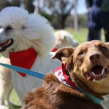Dutchfield Dog Training | 6 Elliott St, Donnybrook WA 6239, Australia