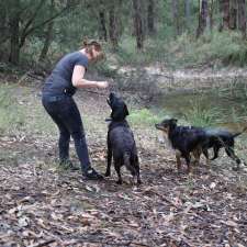 Neika & Co. Dog Adventures | 92 Dudgeons Ln, Bangalow NSW 2479, Australia