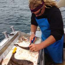 Mr Flathead Fishing Charters | 5 Layete St, Dodges Ferry TAS 7173, Australia