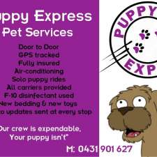 Puppy Express Pet Services | Hunter Region, Greta NSW 2334, Australia