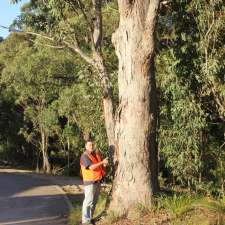 Joseph Pidutti - Consulting Arborist | 3 Victoria Rd, Tingira Heights NSW 2290, Australia