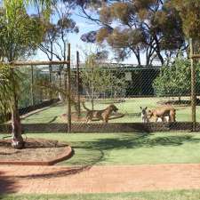 Sevenoaks Kennels & Cattery | 6 Hunter St, West Kalgoorlie WA 6430, Australia