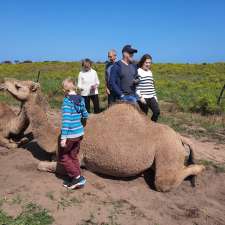 Humpalicious Camel Farm Robe | Roys La, Mount Benson SA 5275, Australia