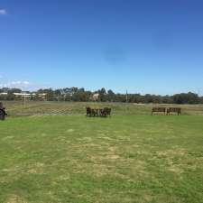 Riverbank Estate Winery | 126 Hamersley Rd, Caversham WA 6055, Australia