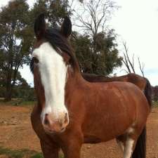 Pretty Sally Riding Ranch | 750 Union Ln, Bylands VIC 3764, Australia
