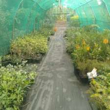 Hidden Grove Plant Nursery | 36-38 Carbeen Rd, Park Ridge South QLD 4125, Australia